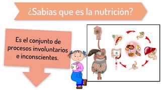 Fisiología de la Nutrición [upl. by Ragland181]