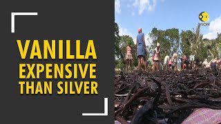 Highest Vanilla price recorded more expensive than Silver [upl. by Gefen87]