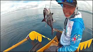 Field Test of Sougayilang Surfmaster 50Budget Trolling Reel [upl. by Bobbee]