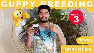 guppy fish breeding tamil  guppy breeding using breeding net [upl. by Medrek]