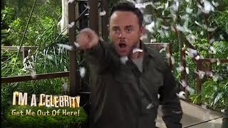 Ant Loses It With Dec Whilst LIVE  Im A Celebrity Get Me Out Of Here [upl. by Ahsekal]