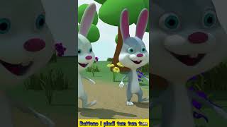 🐰 Il Coniglietto 🐰 Canzoni Per Bambini [upl. by Saravat]