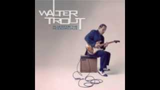 Walter Trout  You Cant Go Home Again [upl. by Fran568]