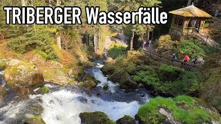 Germany 🇩🇪  Een Tag in unser schönster Urlaub in Triberg Triberger Wasserfälle [upl. by Aaron913]