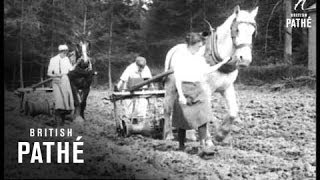 Women Agriculturists 19141918 [upl. by Welker]