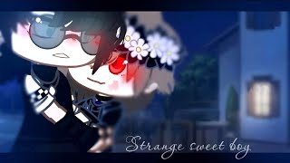 quotStrange sweet boyquot GAY love story ♡ GCMM GLMM BLGAY [upl. by Neillij]