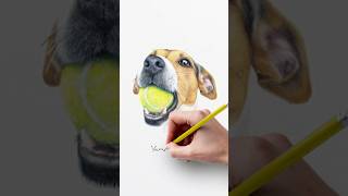 Desenhando cão cachorro 🐶 desenho drawing cao cachorro animal criativo pets [upl. by Witcher648]