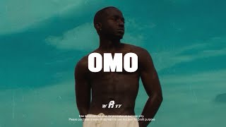 Burna Boy ft Omah lay Type Beat quotOMOquot Afrobeat Instrumental 2024 x Emotional Afrobeat Type Beat [upl. by Anitnuahs]