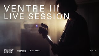 Palmer Generator  Live Session Ventre III [upl. by Alvie]