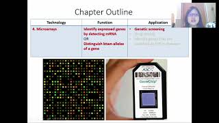 Chap 19 Part 4 Microarrays  Cambridge ALevel 9700 Biology [upl. by Monahan]