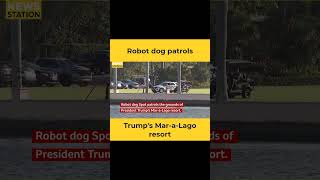 Robot dog patrols Trumps Mar a Lago resort [upl. by Geordie]