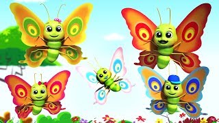 farfalle dita Famiglia  filastrocche in italiano  canzone per bambini  Butterfly Finger Family [upl. by Werra]