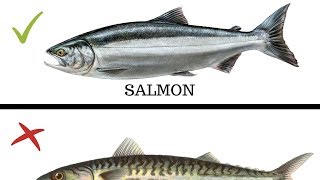 5 Types of Fish You MUST NEVER EAT [upl. by Lambard]