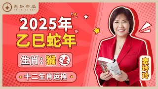 麦玲玲师傅详解2025蛇年运程：生肖猴！事业运、财运、人际关系、爱情、婚姻、健康全解析！ [upl. by Dreddy760]