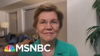 Sen Warren ‘It’s Time For A Wealth Tax In America’  The Last Word  MSNBC [upl. by Vijar]