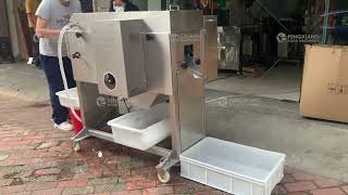 Fish Processing Salmon Fillet Machine Pollack Splitting Machine Fish Cutting Machine [upl. by Sinnej]