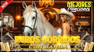 📌Los 50 Mejores 🔥Puros Corridos Viejitos Mexicanos Más Famosos✅Mix Para Pistear 2024 [upl. by Yer363]