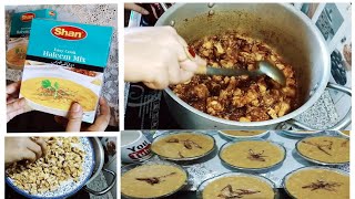 Shan Easy Cook Haleem Mix Recipe Bht zbrdast Daleem bni aj mainy Haleem ki Niyaz bnai [upl. by Rowen542]