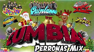 Super Mix Grupo Los Tepoz Grupo Quintanna Konfusion Los Tepoz Mix 2025⚡🎼 Cumbia Sonidera 2025 [upl. by Golanka]