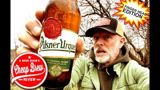 Pilsner Urquell Beer Review by A Beer Snobs Cheap Brew Review [upl. by Koren]