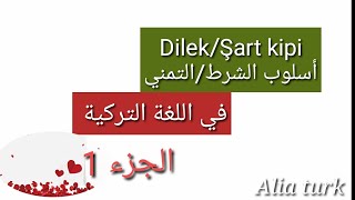 DilekŞart kipi أسلوب الشرطالتمني في اللغة التركية [upl. by Rocco]