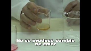 Disolución reguladora Prácticas de química [upl. by Ynner]