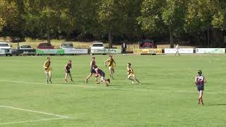 Junior Colts Round 1 Vs Lobethal 2024 [upl. by Ahsauqal]