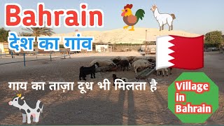 Village in Bahrain  बहरीन देश का गांव Bahrain Village Life । Bahrain NewsArabinfoHindi [upl. by Ataga]