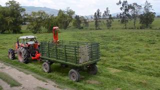 COSECHADORA DE FORRAJES  FIMAKS  RF132  Instalación Gachanzipa🇨🇴  Maquinaria Agrícola [upl. by Magel]