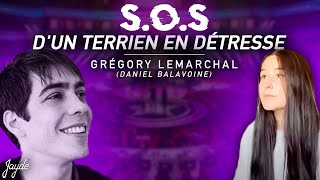 Sos d’un terrien en détresse version Grégory Lemarchal  JAYDE [upl. by Dowling]