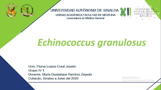 12 Equinococcus granulosus [upl. by Onairda]