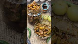 Instant Mix Pickle  Amla Radish and Chili Pickle  Pickle for winters  tastypickles pickle [upl. by Ailsun]