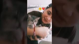 Elimdeki bilekliği nasıl ısırır sen bücür Kurban olurum 😂❤️🤗 [upl. by Aluap]