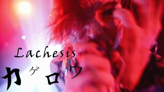 【MUSIC VIDEO 】 Lachesis  カゲロウ [upl. by Coltin]