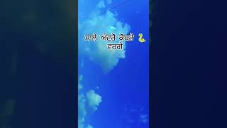 Chaudhar song r nait ft Labh heera whatsapp status 🔥 [upl. by Aicac174]