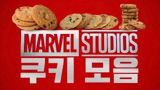 마블 쿠키 영상 모음 – 어머 이건 꼭 봐야 해 Marvel Credit Cookie Collection [upl. by Iaj]