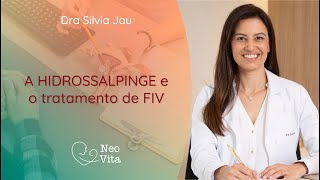 A Hidrossalpinge e o tratamento de FIV [upl. by Neeuq452]