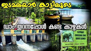 Places to visit in kothamangalam l Vadattupara waterfall l Idamalayar Forest l Bhoothathankettu Dam [upl. by Alain511]