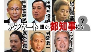 都知事は誰が？都知事選街頭ｱﾝｹｰﾄ【銀座4丁目】第12弾 平成26年2月2日日投票日1週間前 [upl. by Britt]