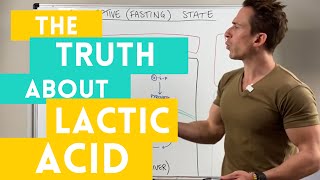 The Truth about Lactic Acid [upl. by Laenej]