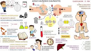 Farmacologia Antiepilepticos VALPROATO [upl. by Loram852]