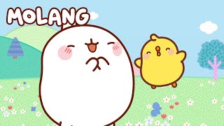 TODOS los episodios ⭐ MOLANG y Piu Piu  Capitulos COMPLETOS  DIBUJOS para NIÑOS [upl. by Ecidnarb]