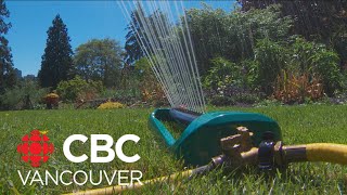 Vancouver walking tour highlights alternatives to traditional lawns [upl. by Angeline]