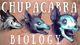 Chupacabra Biology Explained  The Science of the Chupacabras [upl. by Barbabra389]