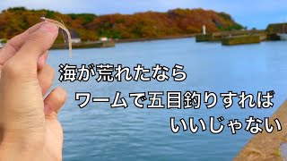 ワームで五目釣り！大荒れの日に港で小さいワーム投げてみると・・・【車中泊釣り旅第二弾・秋の東北編最終話】 [upl. by Baillieu]