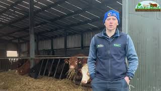 Finishing cattle on Future Beef farmer James Skehan’s Farm [upl. by Uchish]