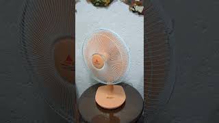 Fan Oscillation 46 Hanabishi TS16T [upl. by Adirehs]