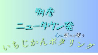 使える時間は１時間！！自転車で多摩はどこまで楽しめるのか！？【グラベルロードバイク】 [upl. by Akelam668]