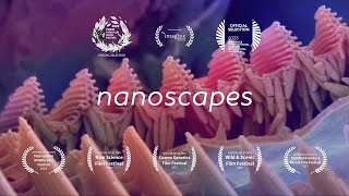 Nanoscapes  Award  winning short film [upl. by Holna]