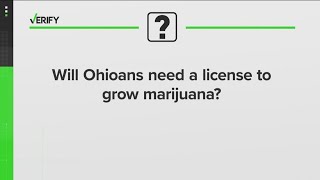 VERIFY Do you need a license to grow marijuana in Ohio [upl. by Daugherty]